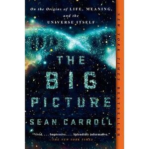 The Big Picture: On the Origins of Life, Meaning, and the Universe Itself -- Sea